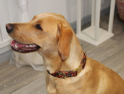 Autumn Design Dog Collar