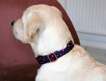 Blue Sky Stars Dog Collar