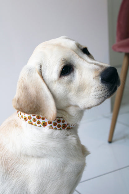 Halloween Pumpkin Design Dog Collar