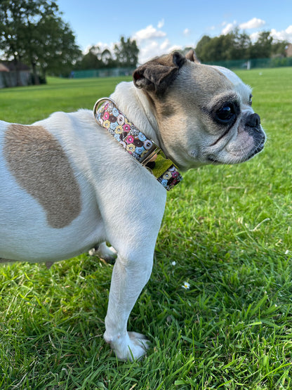 Donut Design Dog Collar