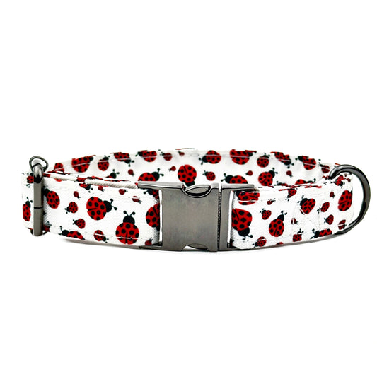 Ladybug Design Dog Collar