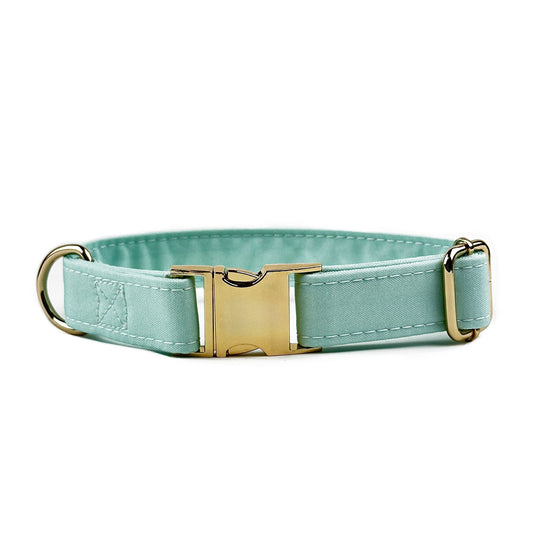 Mint Design Dog Collar