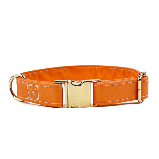 Orange Design Dog Collar