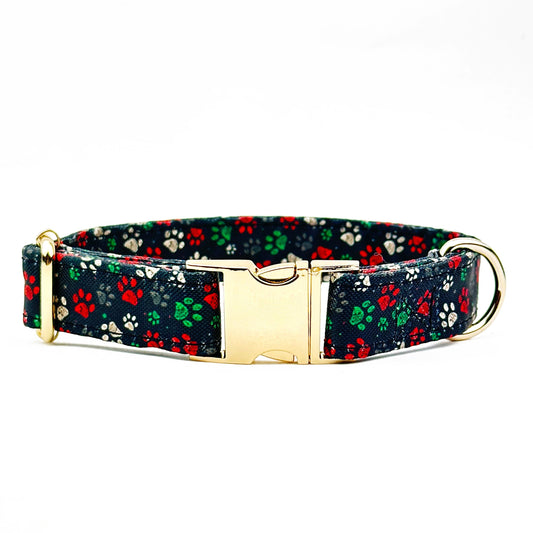 Colourful Paws Design Dog Collar