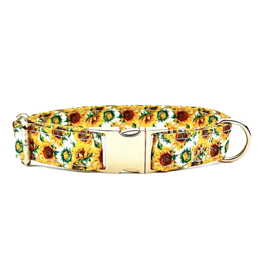 Sunflower Design Dog Collar