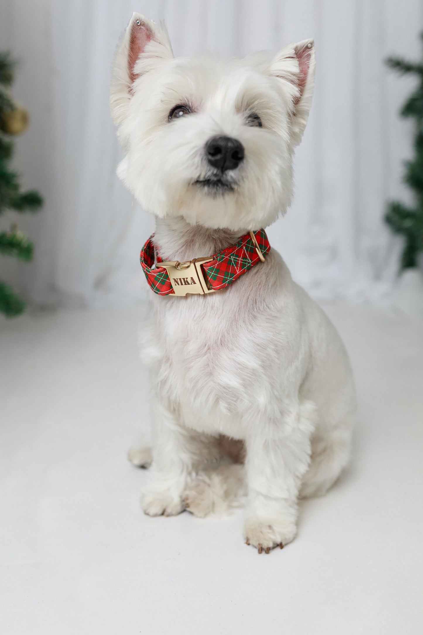 Christmas Festive Design Dog Collar